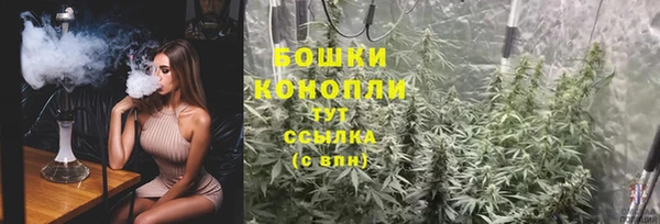 ГАЛЛЮЦИНОГЕННЫЕ ГРИБЫ Белоозёрский