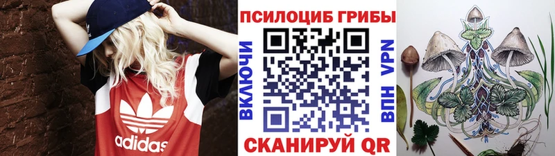 Псилоцибиновые грибы мухоморы  Велиж 